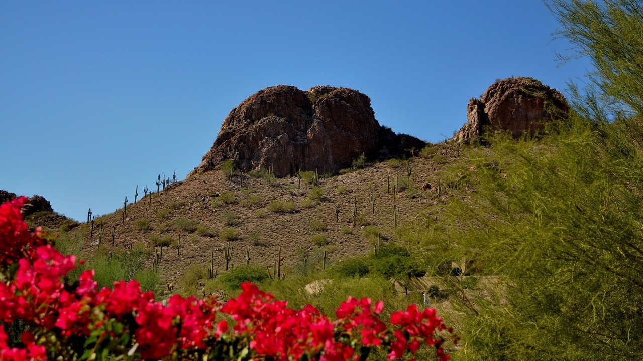 Photo of Others in Gold Canyon