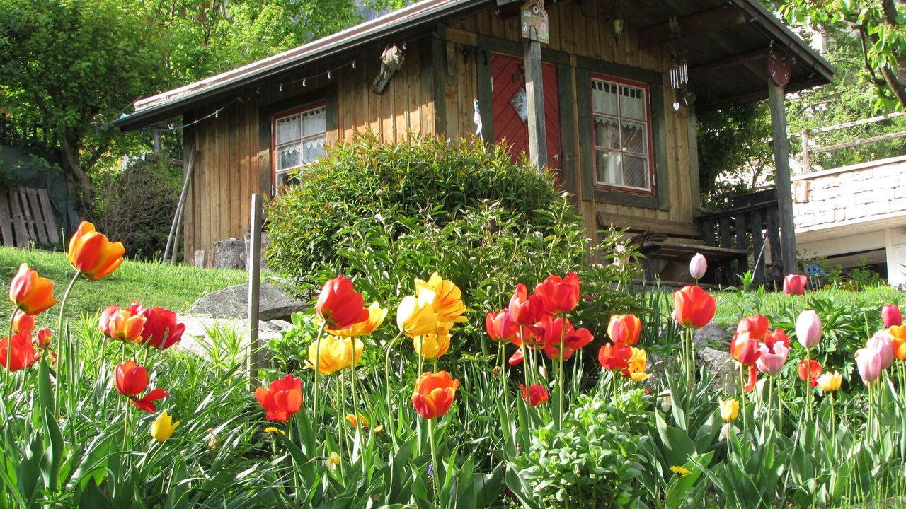 Photo of Outdoor in Fai della Paganella