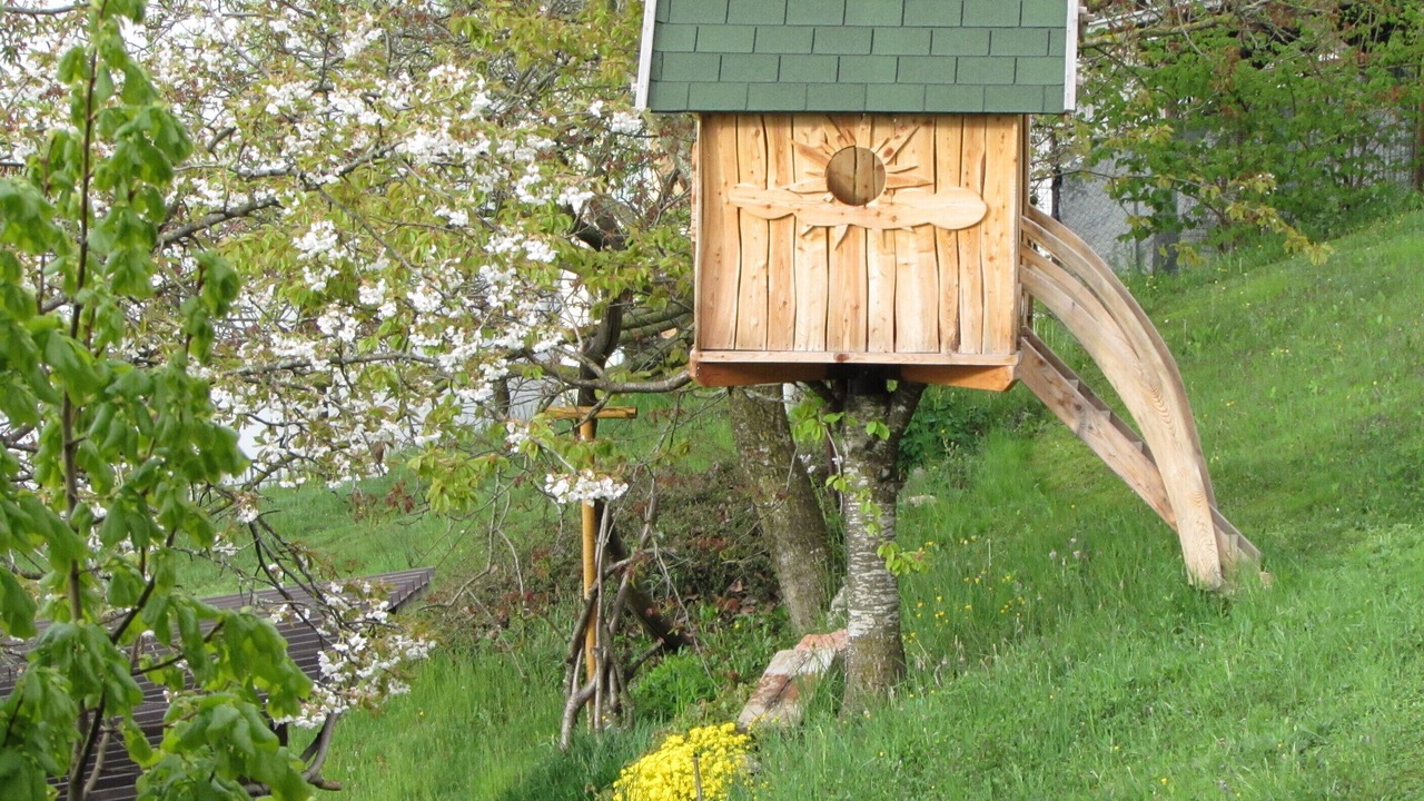 Photo of Outdoor in Fai della Paganella
