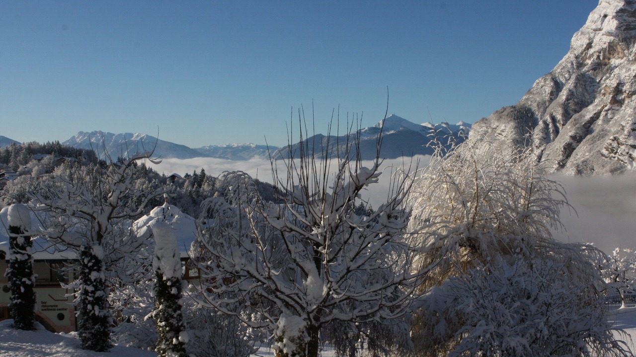 Photo of Others in Fai della Paganella