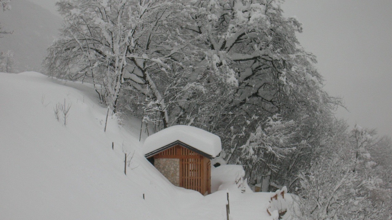 Photo of Outdoor in Cavedago