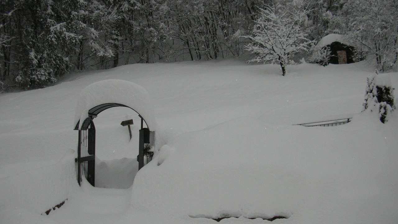 Photo of Outdoor in Cavedago