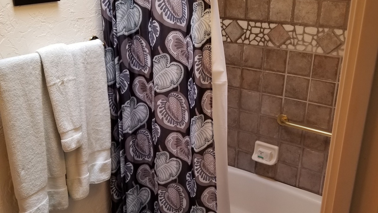 Photo of Bathroom in Tortolita
