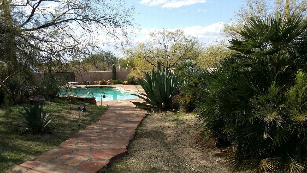 Photo of Outdoor in Tortolita