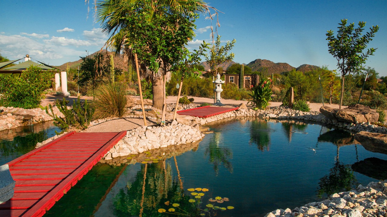 Photo of Others in North Scottsdale