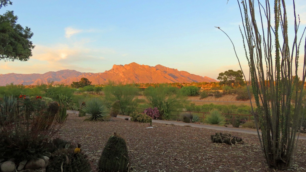 Photo of Others in Casas Adobes