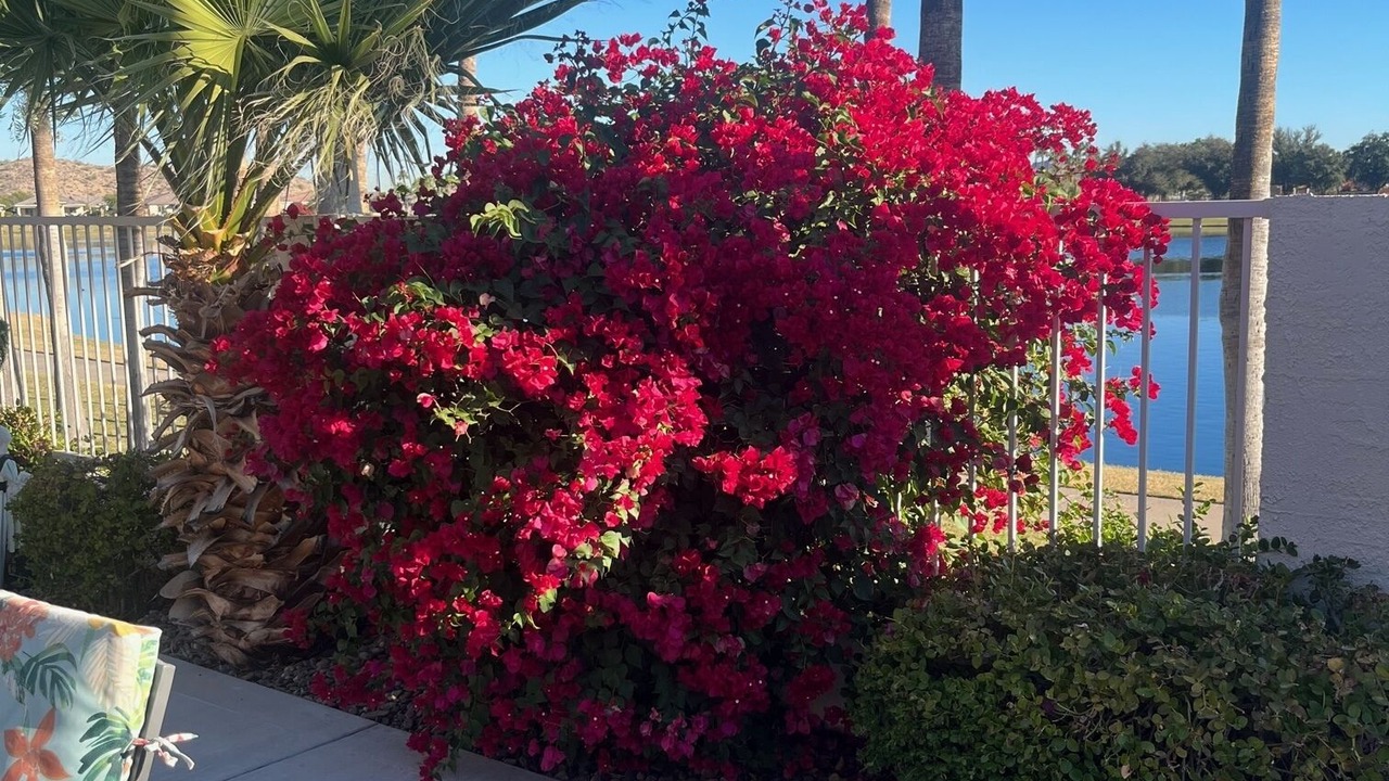 Photo of Patio Balcony in Estrella Mountain Ranch