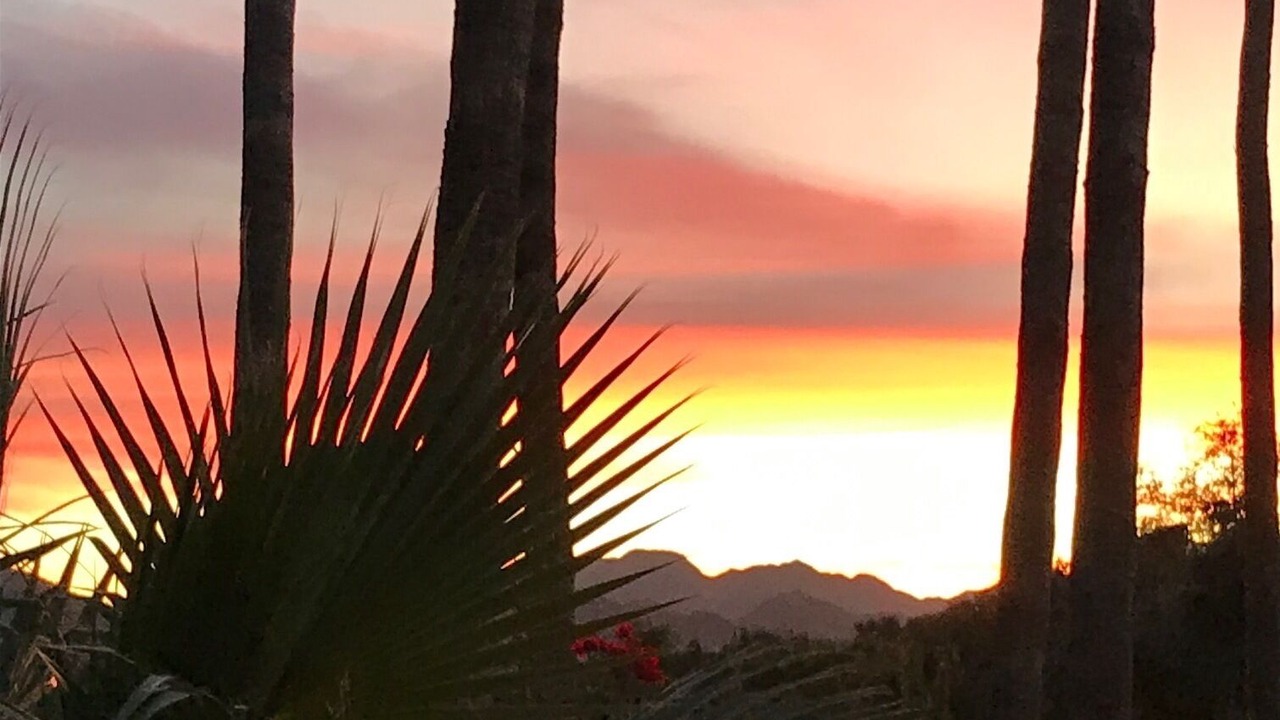 Photo of Outdoor in Estrella Mountain Ranch