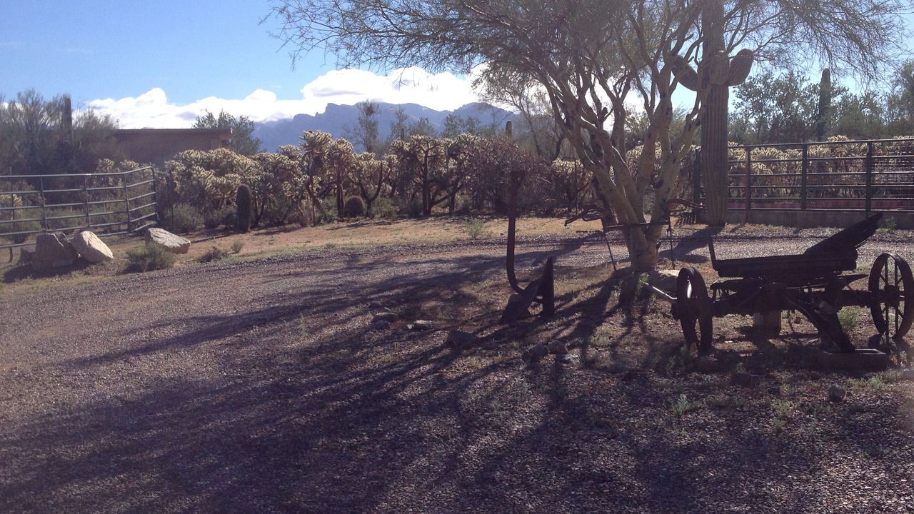 Photo of Others in North Ranch