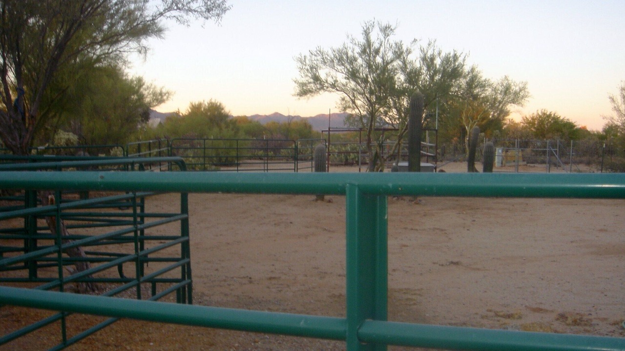 Photo of Others in North Ranch