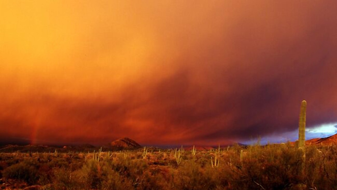 Photo of Others in Tucson Estates