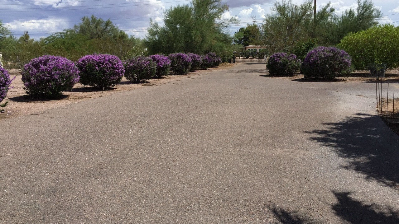 Photo of Outdoor in Apache Junction