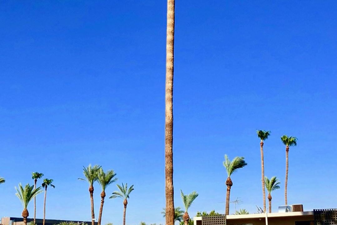 Photo of Outdoor in Arts District