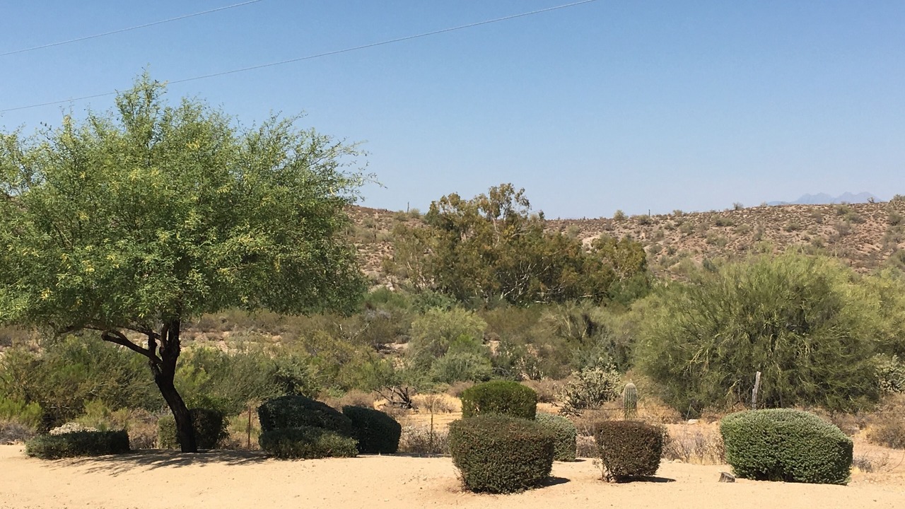 Photo of Others in Fountain Hills