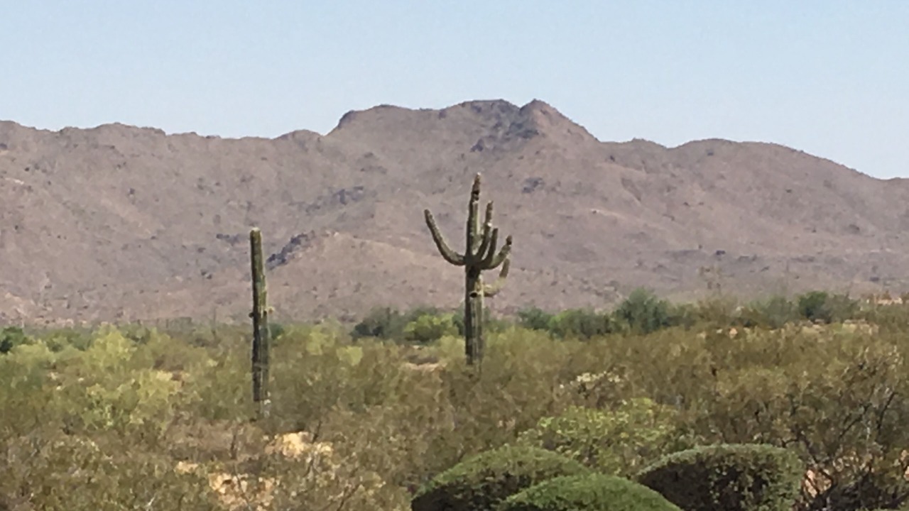 Photo of Others in Fountain Hills