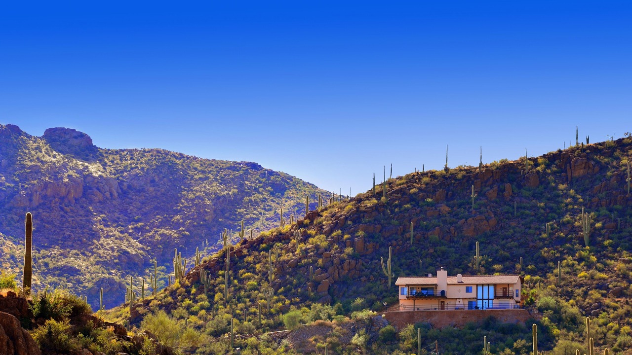 Photo of Others in Tucson Estates