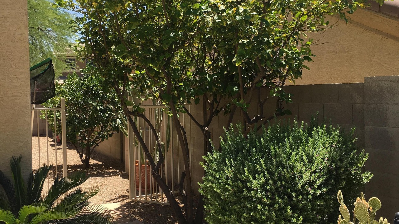 Photo of Others in Estrella Mountain Ranch