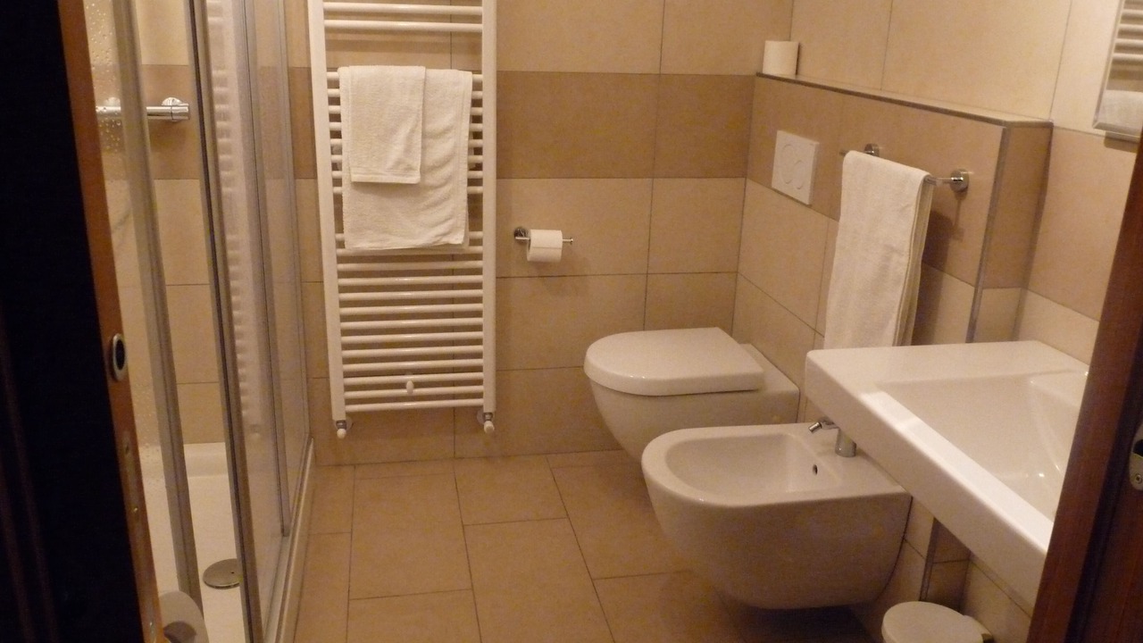Photo of Bathroom in Tenno
