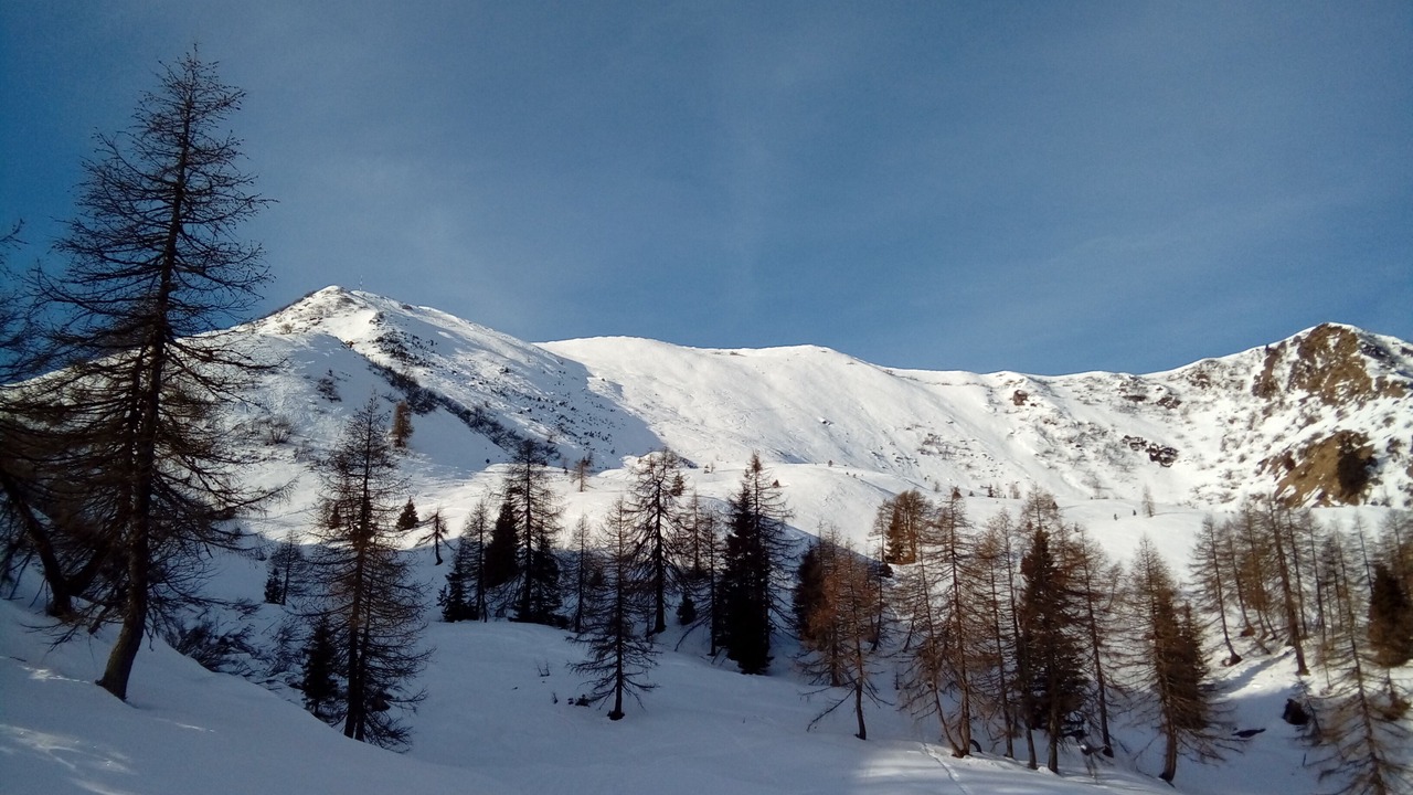 Photo of Others in Tione di Trento