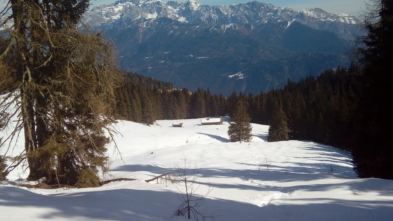 Photo of Others in Tione di Trento