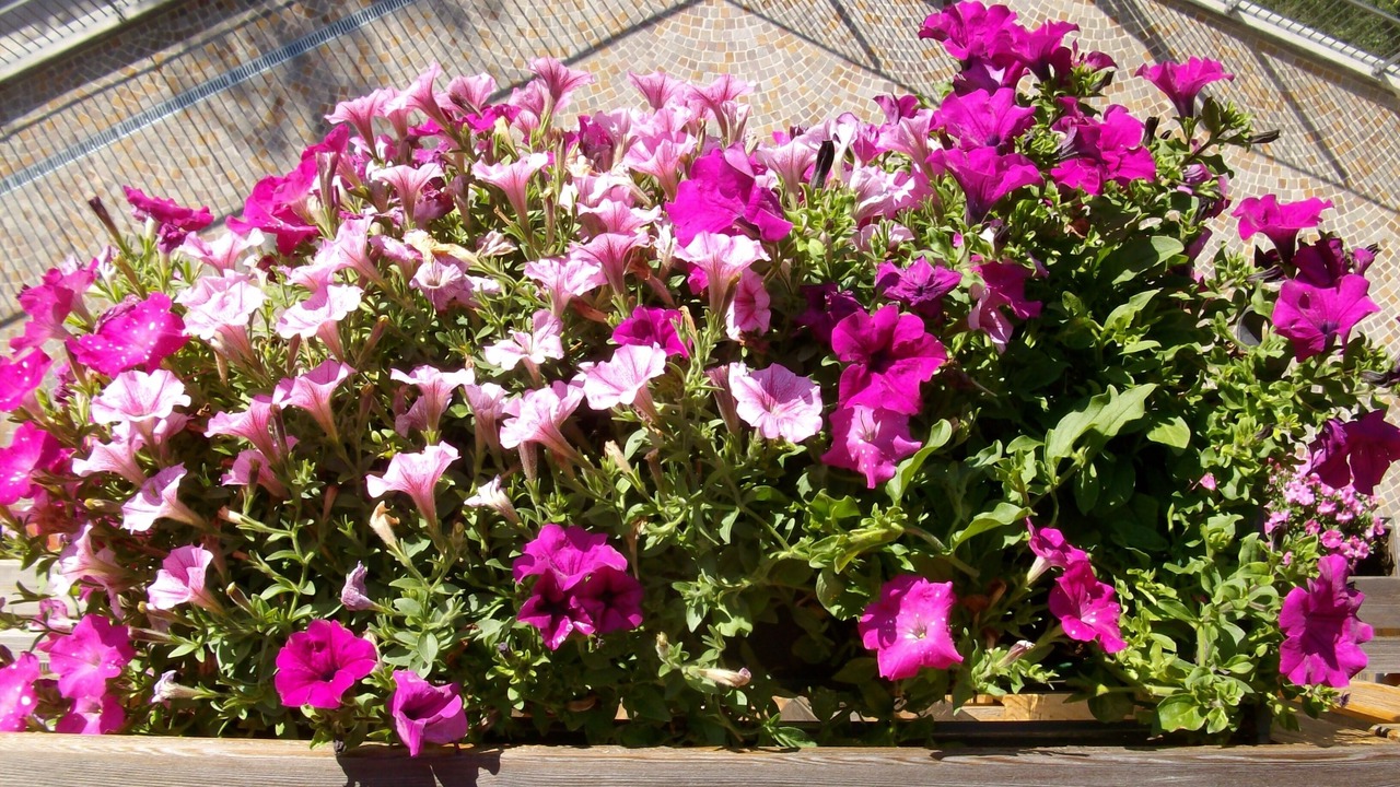 Photo of Outdoor in Tione di Trento
