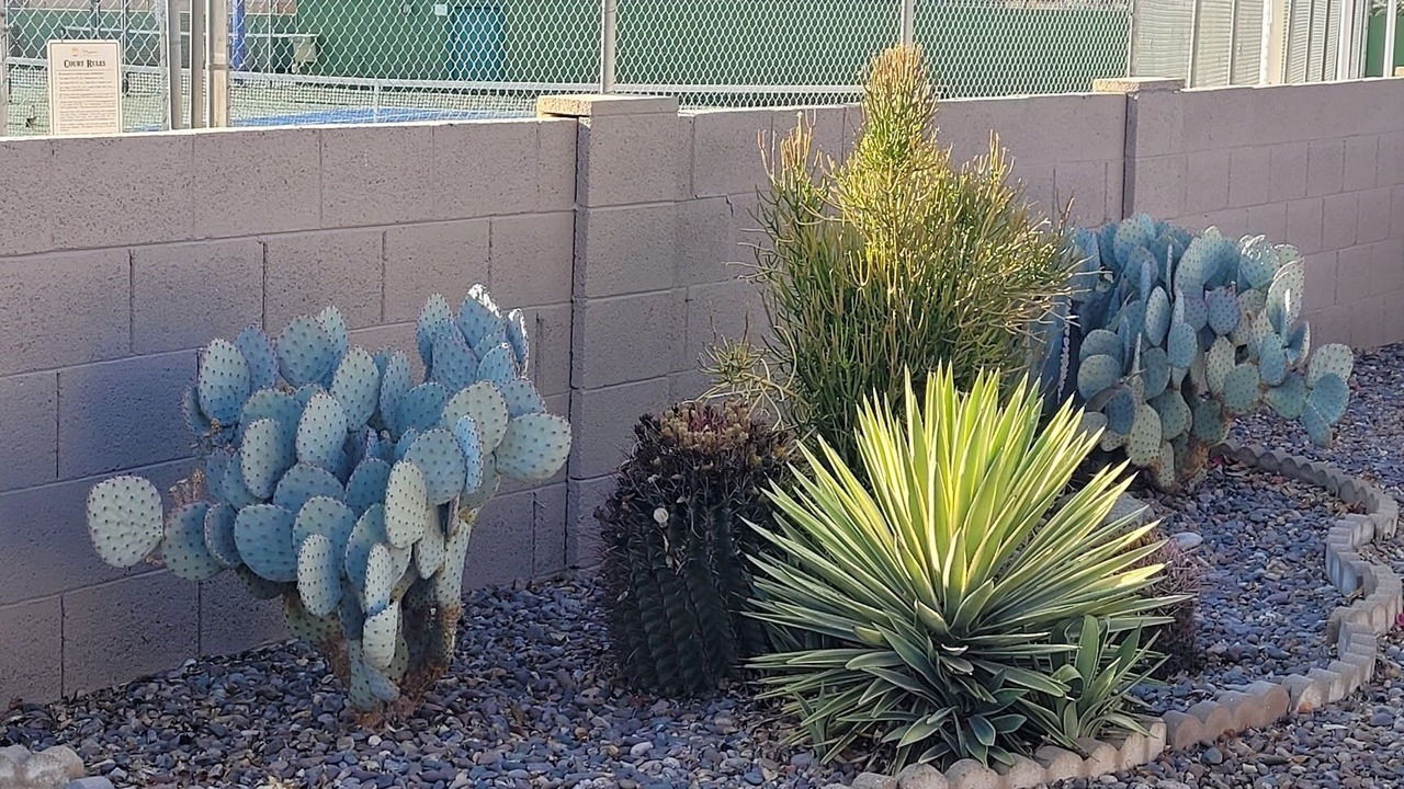 Photo of Others in Chandler
