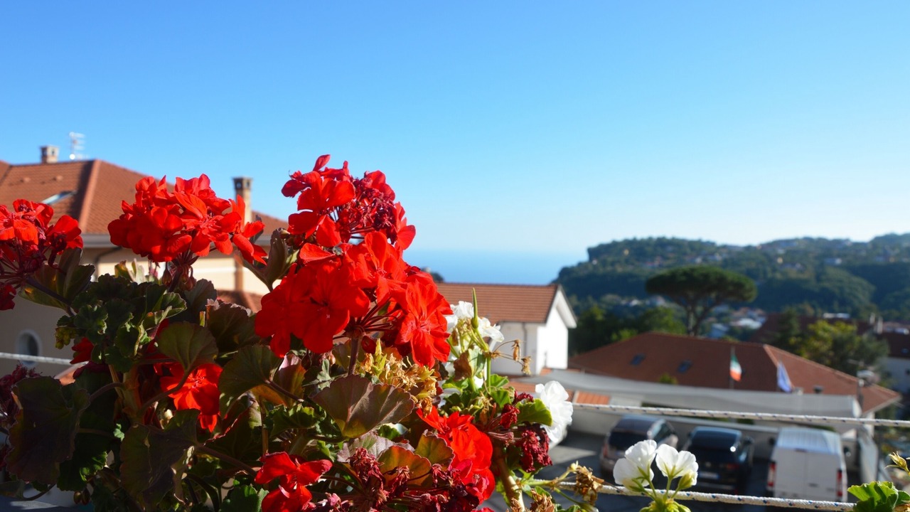 Photo of Outdoor in Agerola