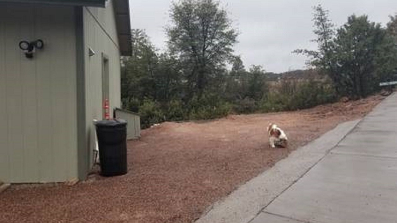 Photo of Others in Star Valley
