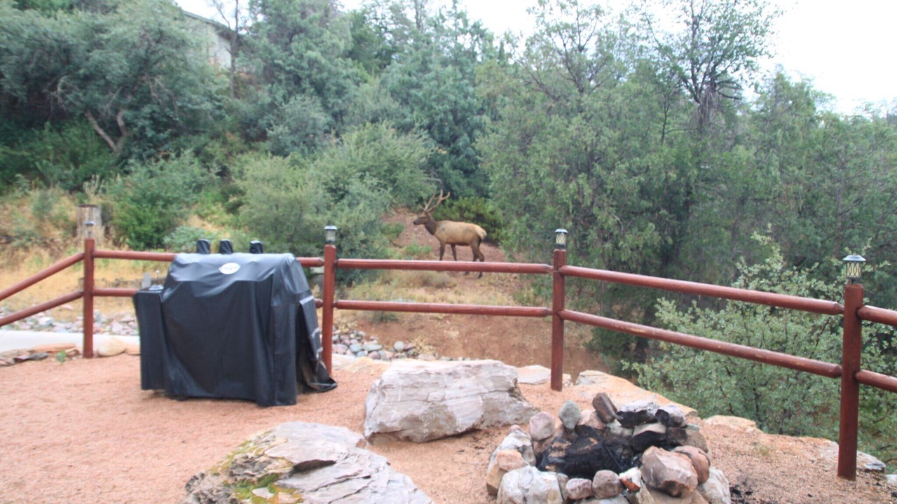 Photo of Others in Star Valley