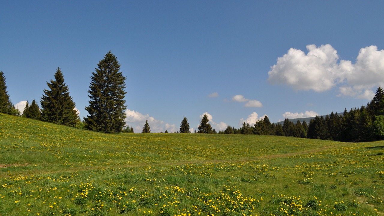Photo of Others in Sfruz