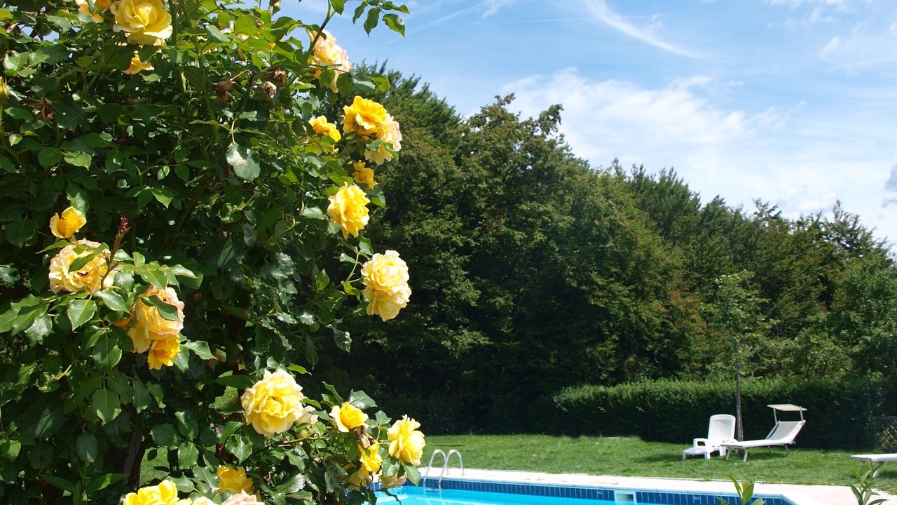 Photo of Outdoor in Kurtatsch an der Weinstraße