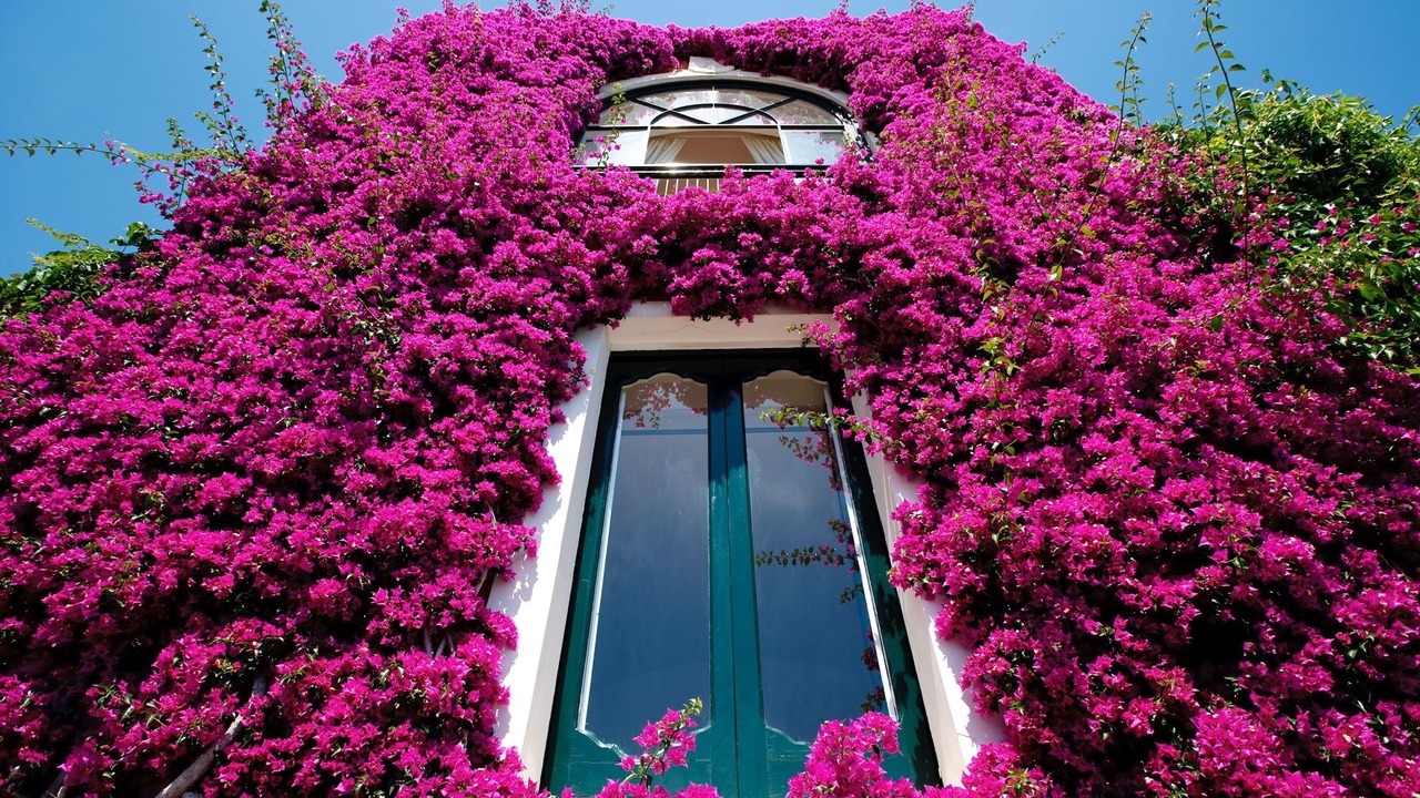 Photo of Outdoor in Positano