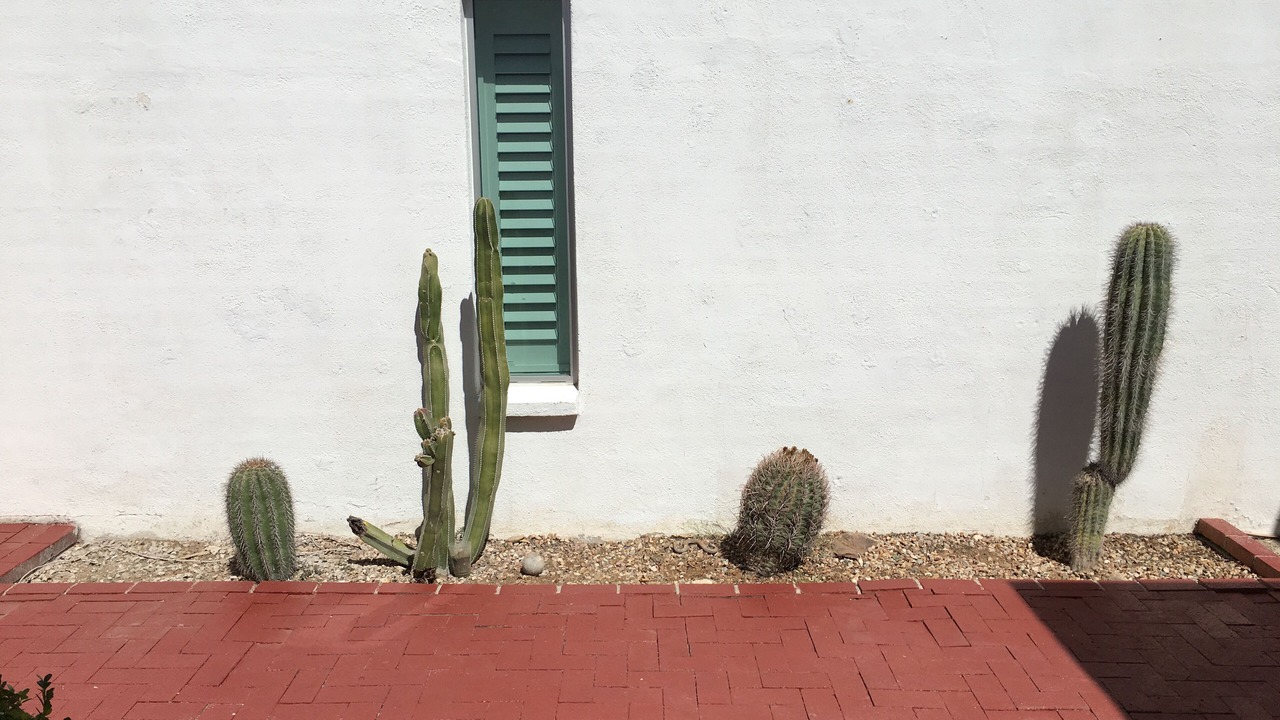 Photo of Outdoor in Tucson