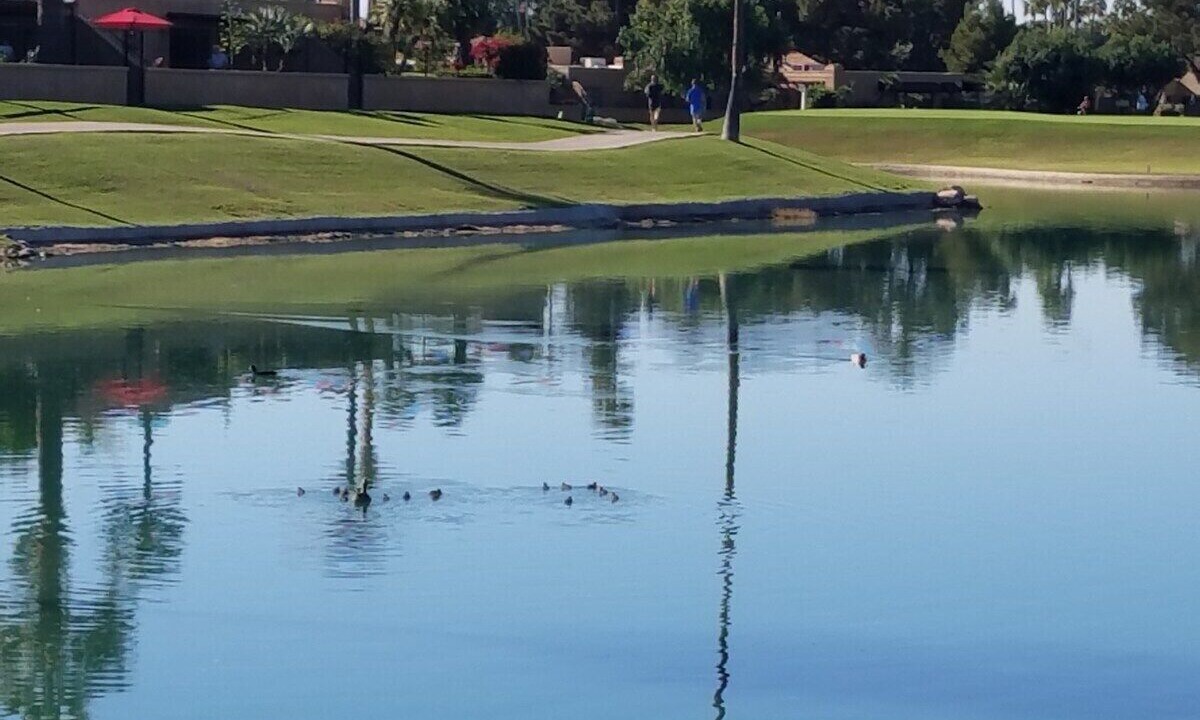 Photo of Others in South Scottsdale