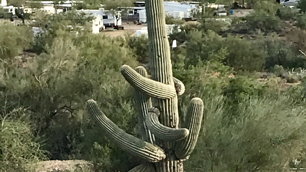 Photo of Outdoor in Parkwood Ranch