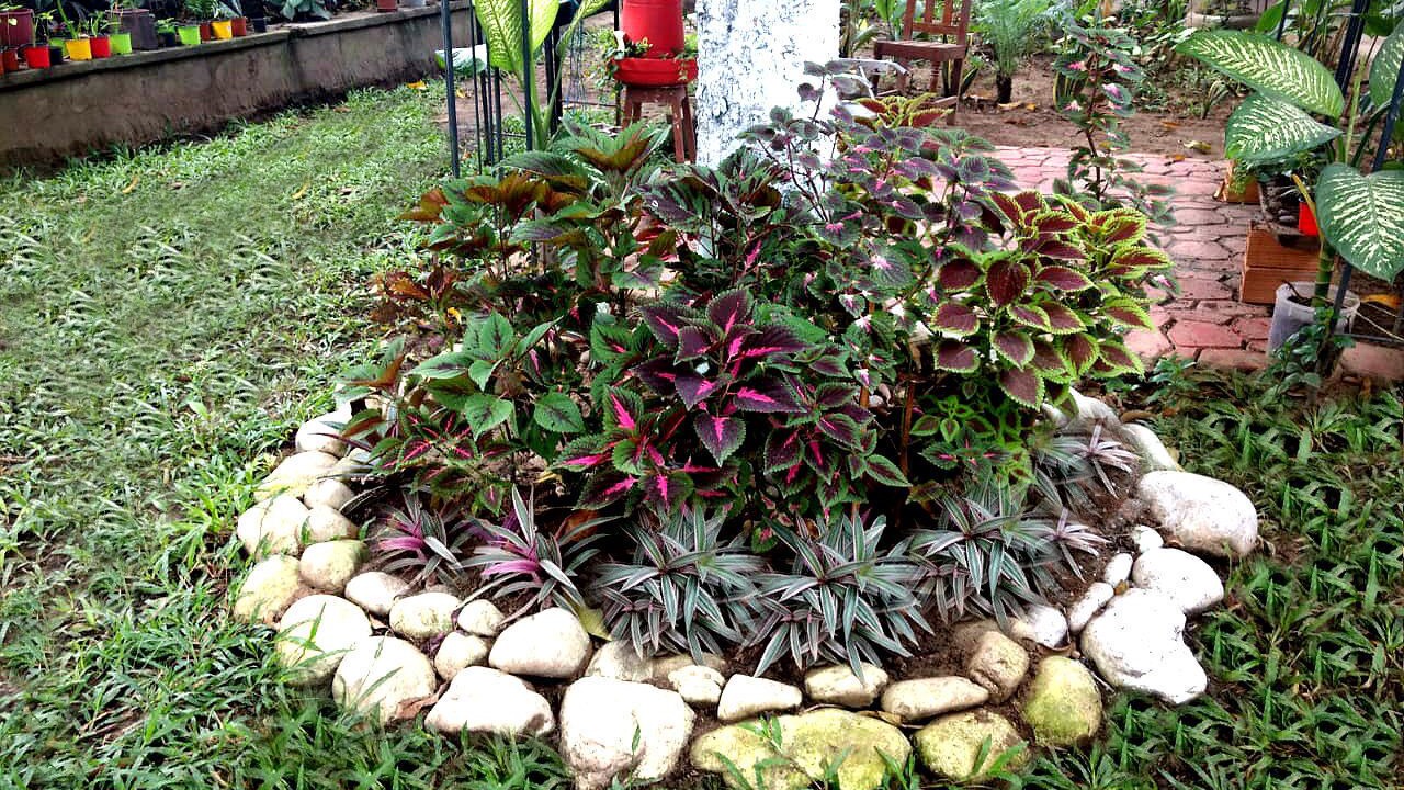Photo of Outdoor in Tarapoto