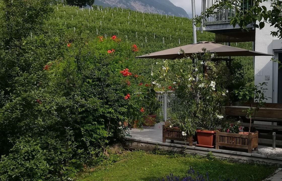 Photo of Outdoor in Denno