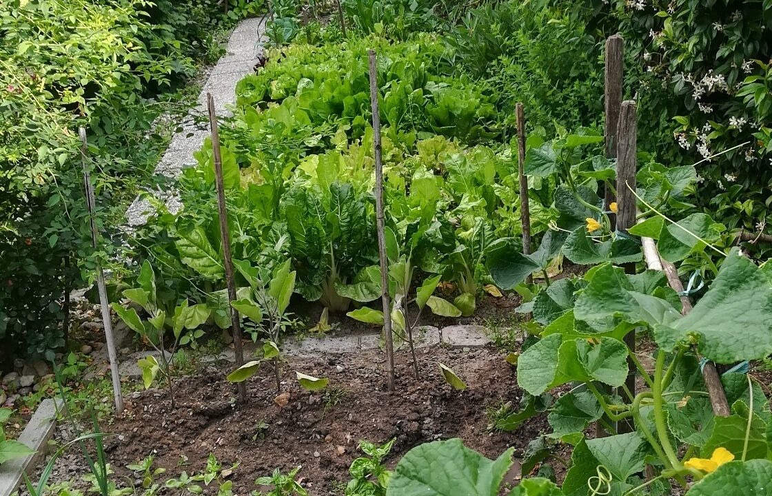 Photo of Outdoor in Denno