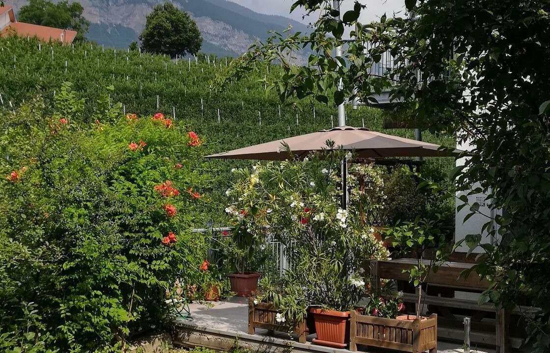 Photo of Outdoor in Denno