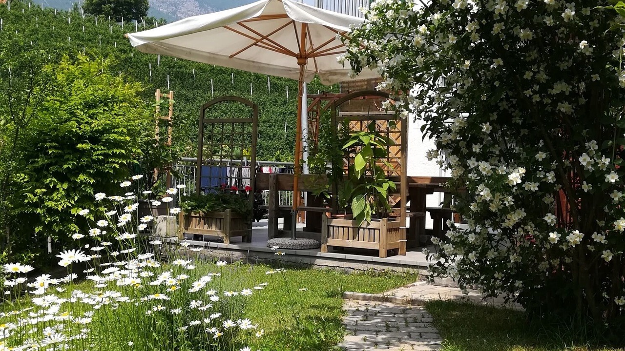 Photo of Outdoor in Denno
