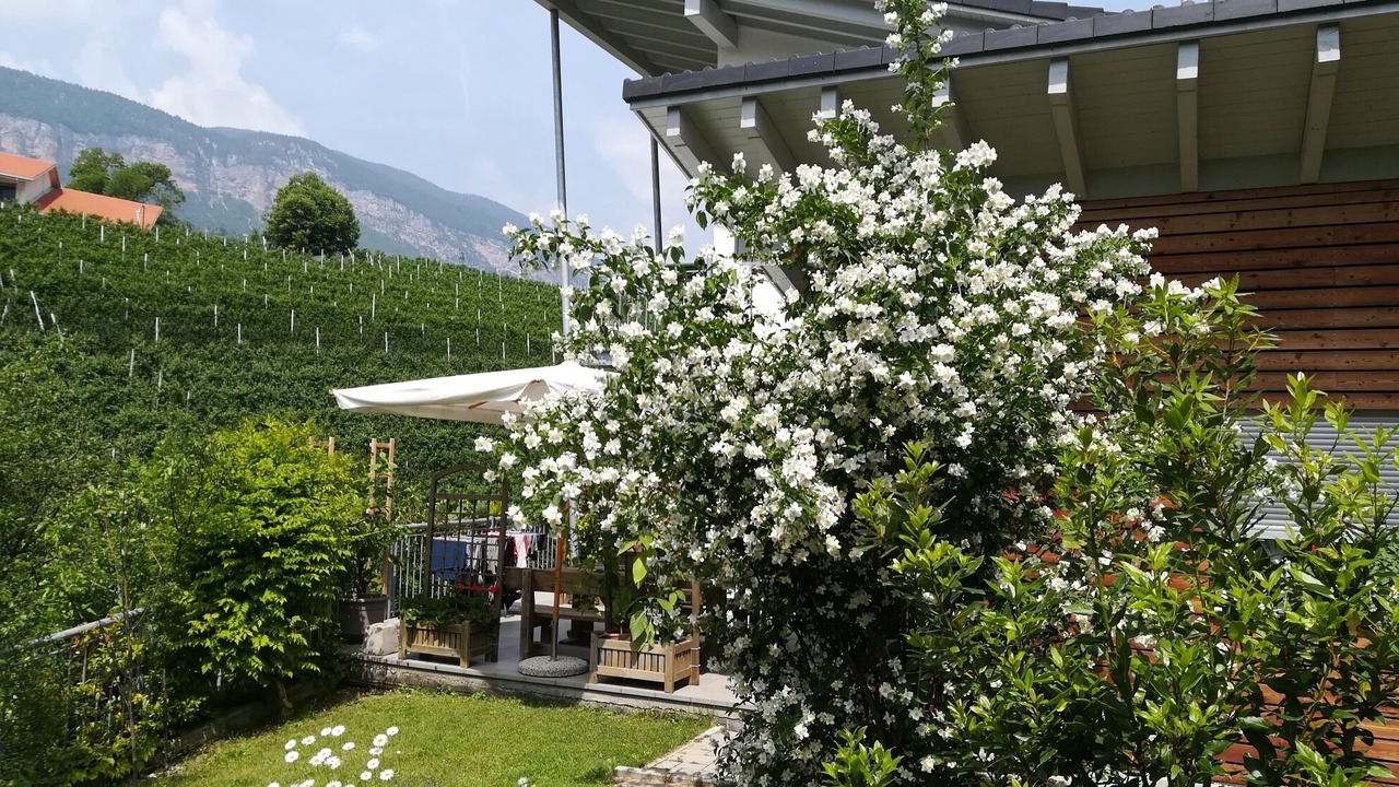 Photo of Outdoor in Denno