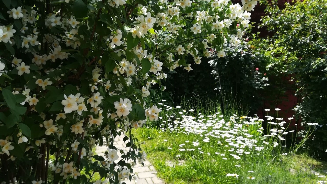 Photo of Outdoor in Denno