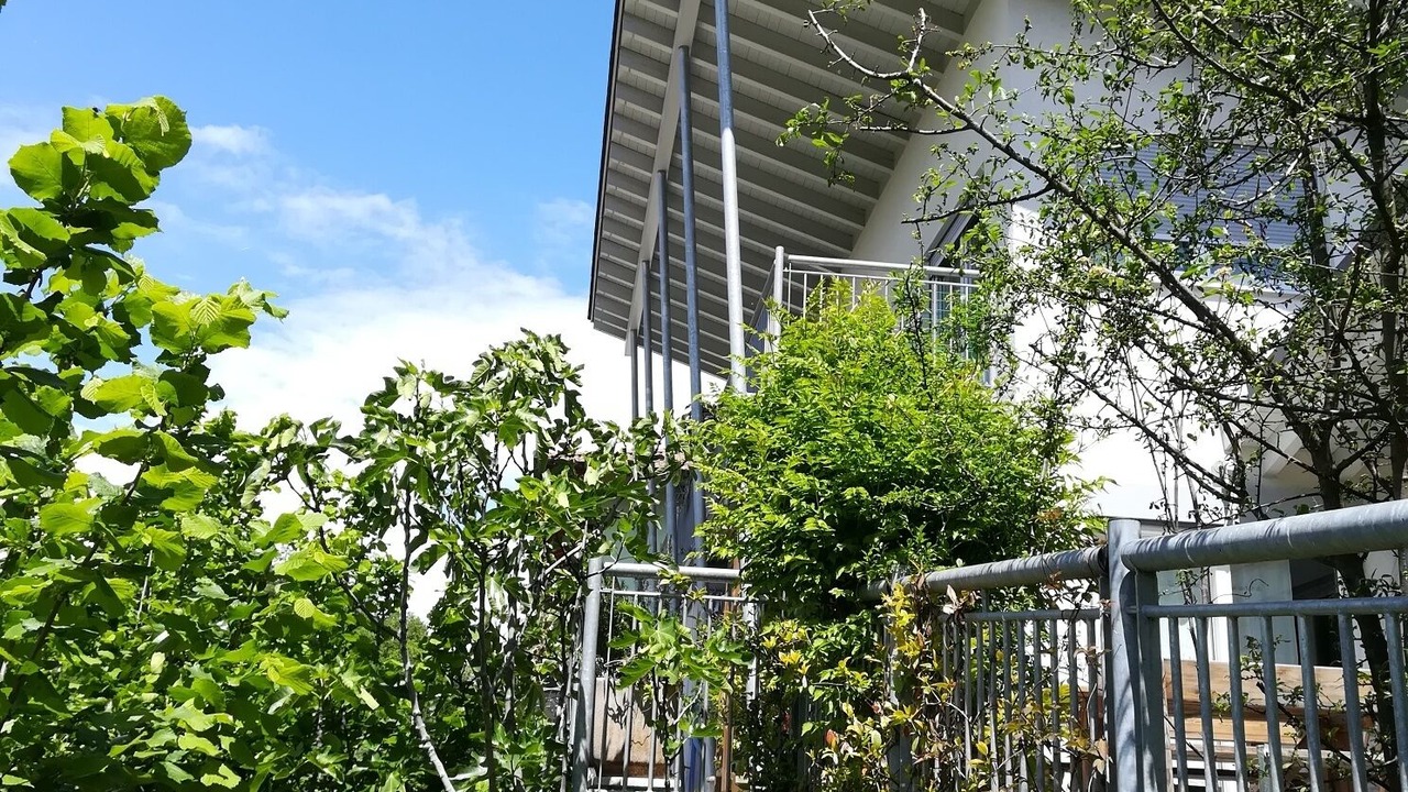 Photo of Outdoor in Denno