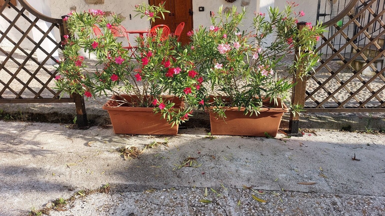 Photo of Patio Balcony in Lavis