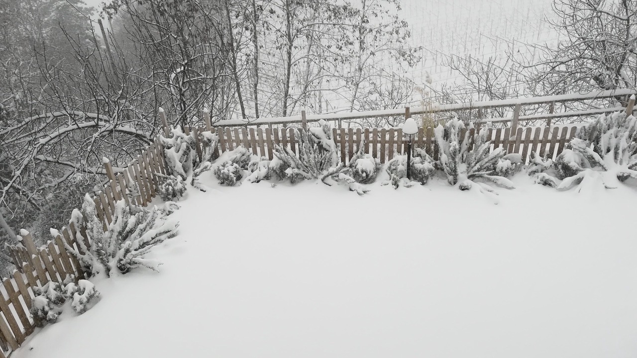 Photo of Outdoor in Lavis