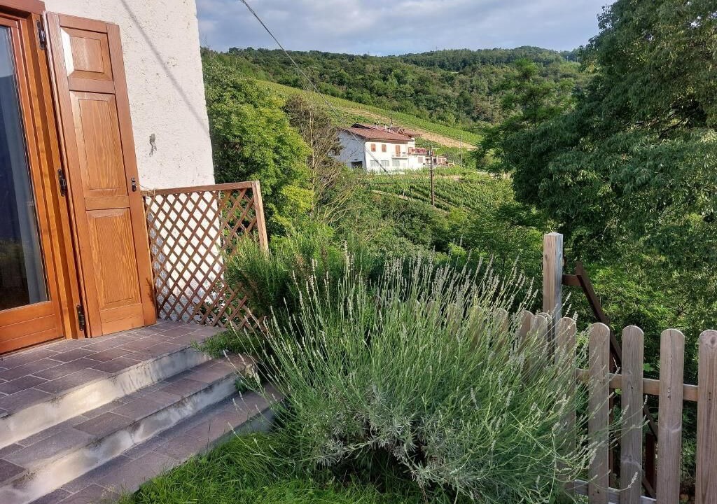 Photo of Outdoor in Lavis