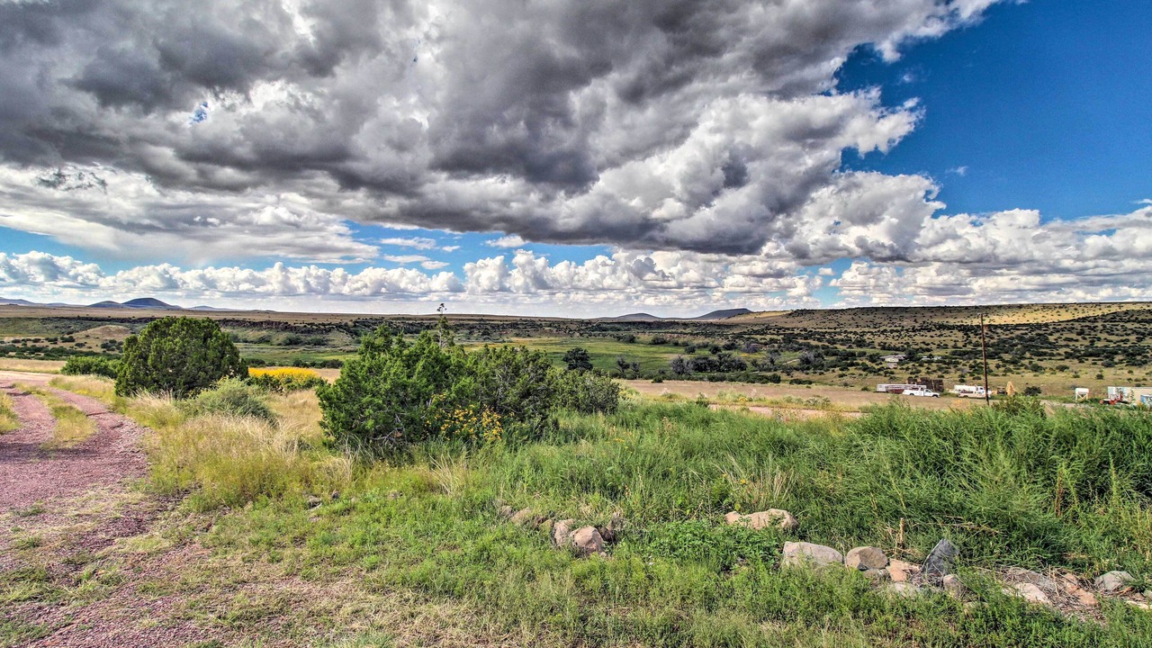 Photo of Others in Springerville