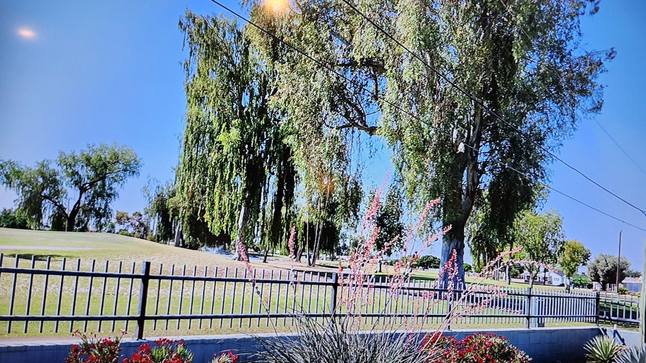 Photo of Outdoor in Sun City