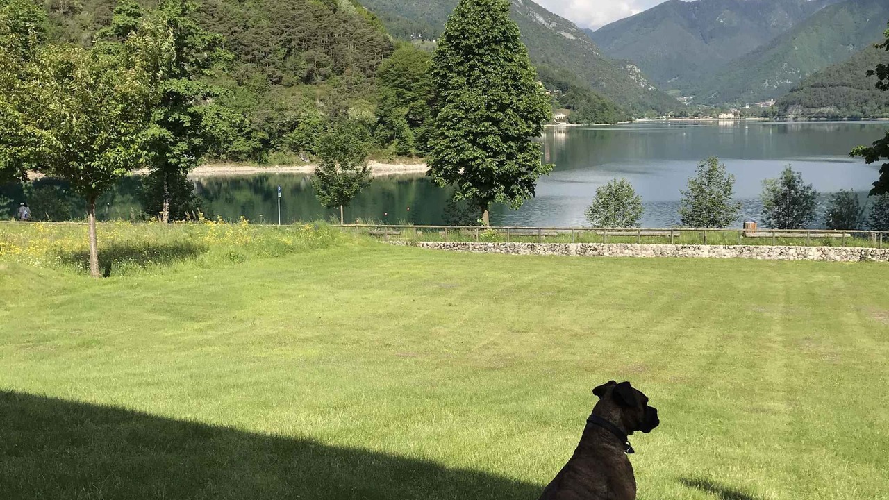 Photo of Outdoor in Molina di Ledro