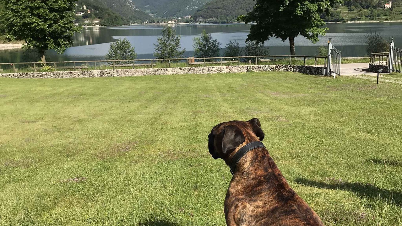 Photo of Outdoor in Molina di Ledro